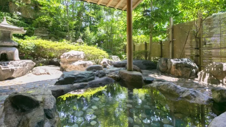"An outdoor hot spring bath at Yuwaku Onsen, offering a serene view of nature."