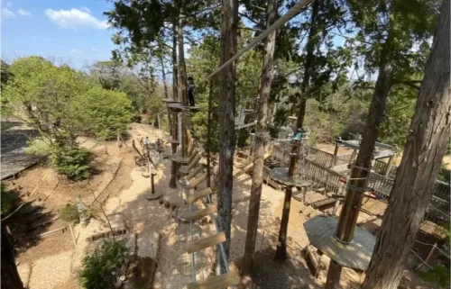 Family theme park with adventure activities and seasonal flowers.