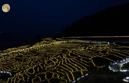 Scenic terraced rice fields with breathtaking sunset views.