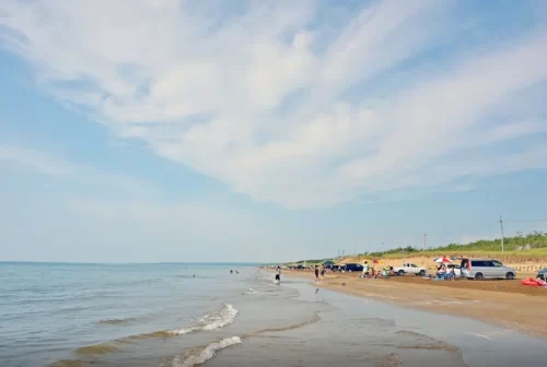 Driving along the sandy shore at Chirihama Nagisa Driveway.
