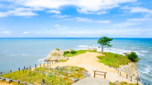 Stunning ocean views from a scenic cape.