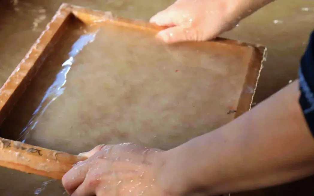 Create traditional Kaga Gampi paper.