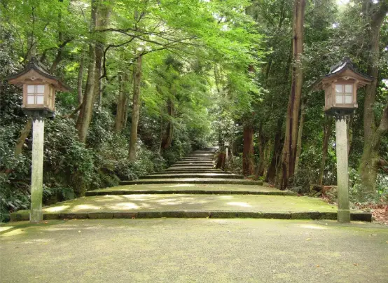 The sacred stone pathway leading to a shrine in Hakusan, surrounded by lush green forest and traditional lanterns, symbolizing respect and purity in Japanese culture.