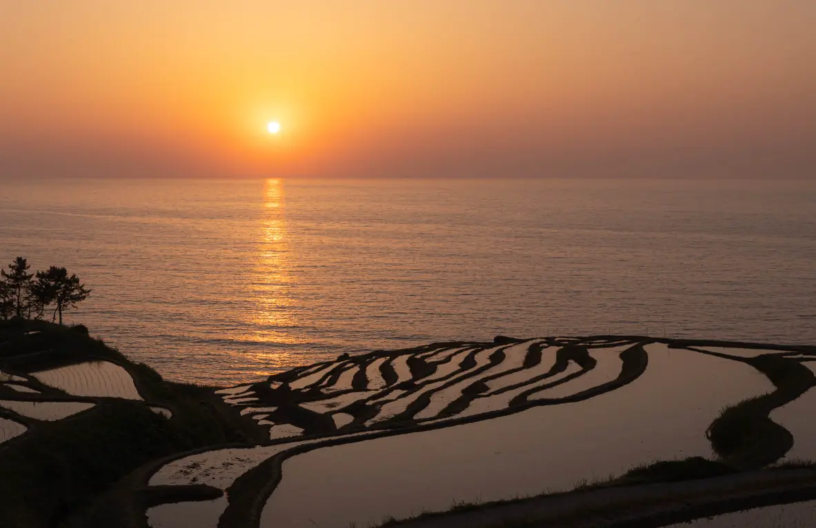 Torii gate overlooking the Sea of Japan at Kotohira or Kehi Shrine in Noto