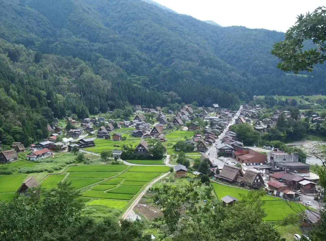 A sweeping panorama of the traditional thatched-roof houses in Ogimachi Village, Shirakawa‑go, as seen from the hilltop observation deck.