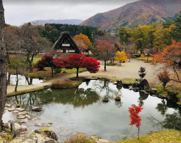 A peaceful garden with a pond and autumn foliage at the Shirakawa-go Gassho-zukuri Folk Museum, with a thatched-roof house in the background.