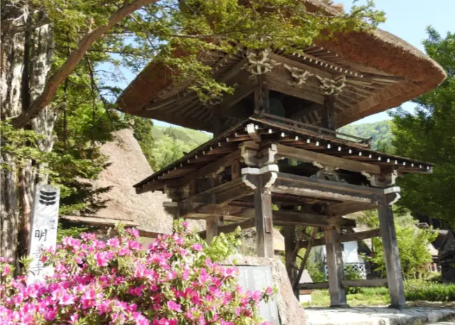 Traditional thatched-roof bell tower gate of Myosenji Temple in Shirakawago, surrounded by fresh greenery and vibrant pink azalea flowers.