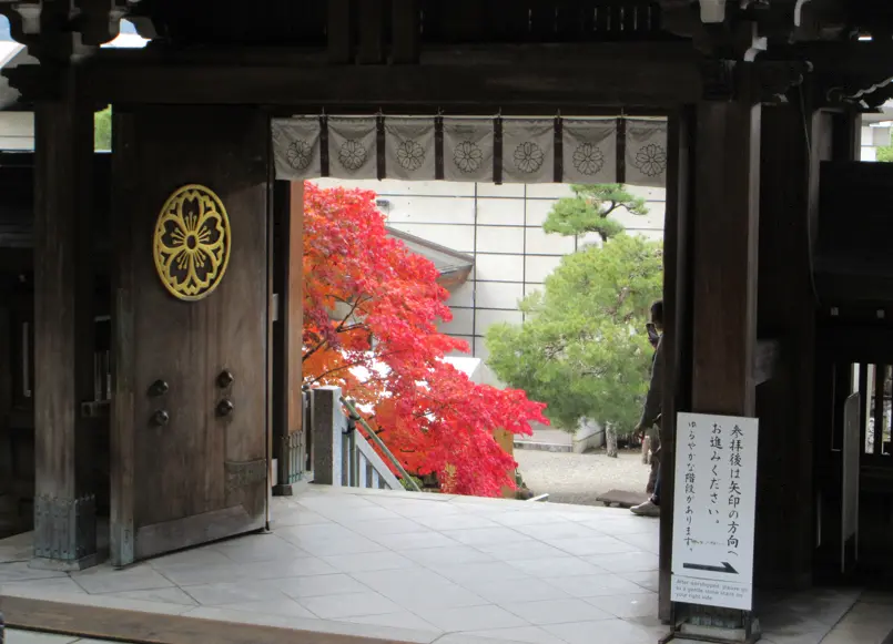 View of vibrant autumn foliage through the wooden gate of Sakurayama Hachimangu Shrine in Takayama.