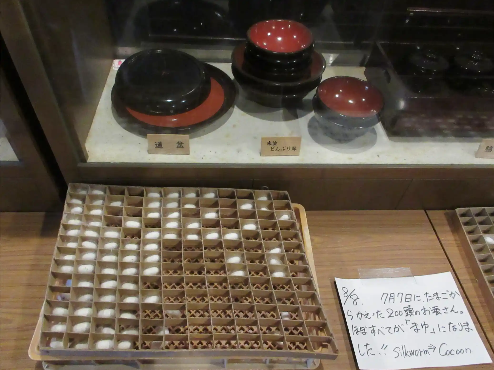 A tray of silkworm cocoons displayed inside the Wada House in Shirakawa-go, showing the traditional sericulture tools and local craftsmanship.