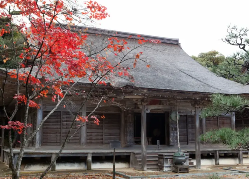 A traditional wooden temple structure at Myojoji Temple, framed by vibrant red maple leaves and green pines in autumn.