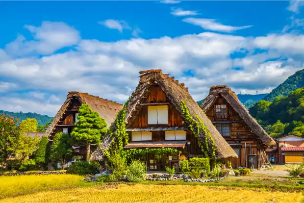 Shirakawa-go with vibrant autumn foliage beginning to turn red under a clear blue sky.