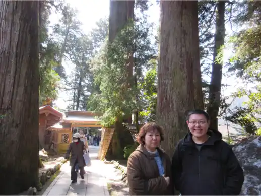 Stone steps leading through a forested shrine approach in the Hakusan area, with visitors walking beneath tall trees and patches of snow on