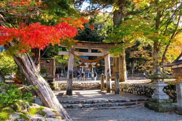 Torii gate of Shirakawa Hachiman Shrine in Shirakawa-go with colorful autumn leaves.