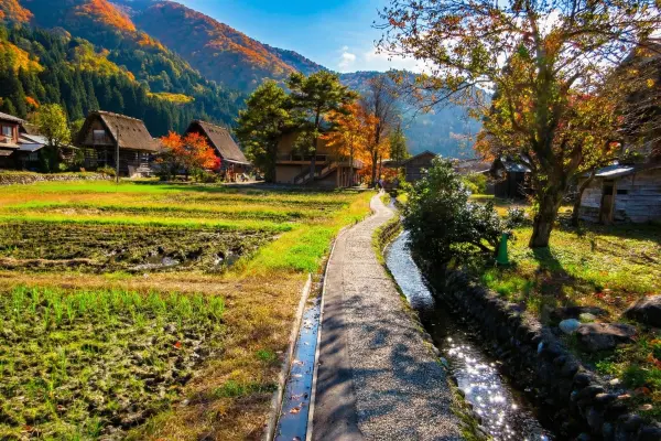 Scenic walking path with clear water canal in Shirakawa-go UNESCO village during autumn.