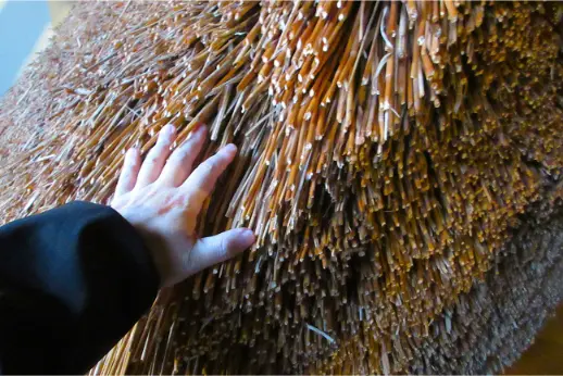 Close-up of natural materials used in traditional thatched roofs.