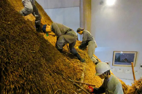 Traditional thatching techniques used for gassho-style roofs.