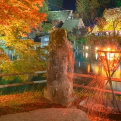 Night view of Hida Folk Village illuminated by autumn foliage and traditional torchlight, with gassho-style farmhouses reflected on the pond.